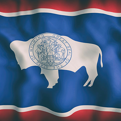 Wyoming State Flag